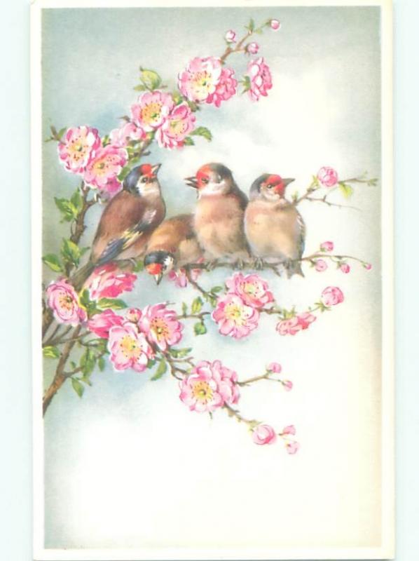 Pre-1980 Mainzer signed BEAUTIFUL BIRDS WITH PINK FLOWERS AC5919