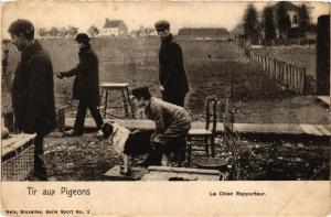 CPA AK Tir aux Pigeons Le Chien Rapporteur DOGS (727526)