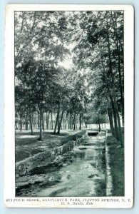 CLIFTON SPRINGS, New York NY  Sulphur Brook SANITARIUM PARK c1910s   Postcard