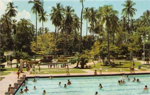 Venezuela~Piscina Olimpica~Club Puerto Azul~Olympic Size Swimming Pool~Postcard