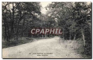 Vesinay - National Asylum - Central Allee - Old Postcard