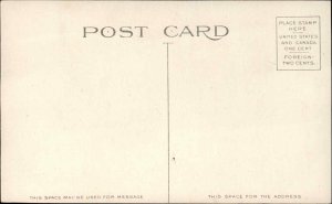 Savannah Georgia GA Hotel Savannah c1910 Postcard