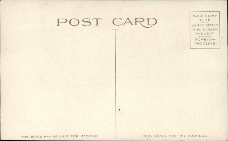 Savannah Georgia GA Hotel Savannah c1910 Postcard