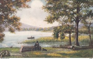 WINDERMERE, From Ferry Nab, 1900-10s; TUCK 7314