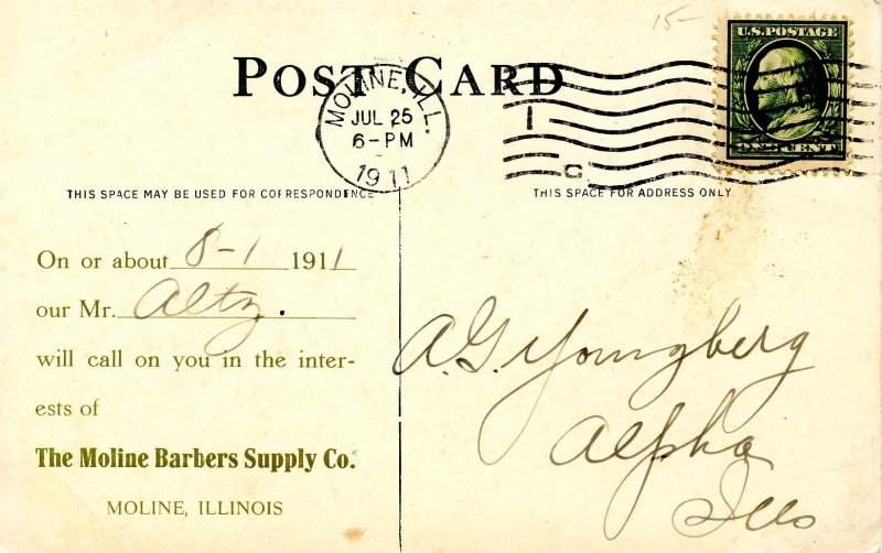 Black-Eyed Susans - Artist: Kenyon