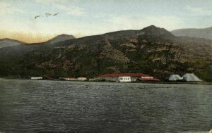 turkey, ALEXANDRETTE ISKENDERUN, Panorama, Fourrage (1910s) Postcard 