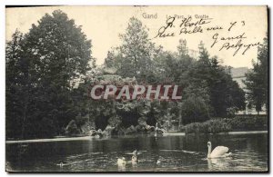 Old Postcard Ghent The Swans Cave Park