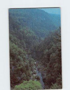 Postcard Tallulah Falls Gorge Tallulah Falls Georgia USA