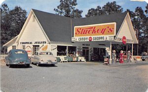 Stuckey's Candy Shoppe On the Suwanee River - Fanning Springs, Florida FL  