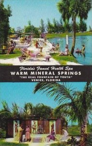 Florida Venice Warm Mineral Springs