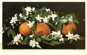 Oranges & Blossoms