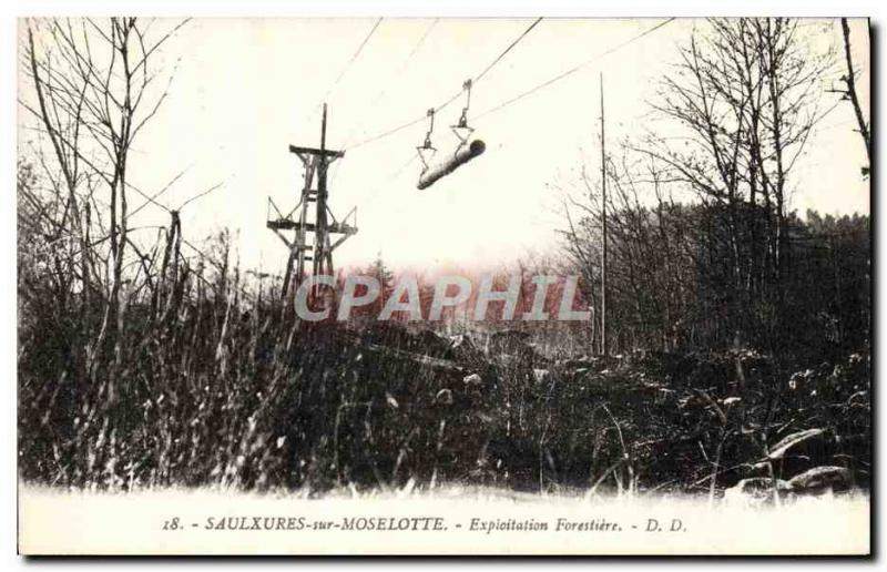 Old Postcard Saulxures on Moselotte forestry exploitation