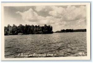 c1940 Scene Basswood Lake Exterior View Ely Minnesota Vintage Antique Postcard