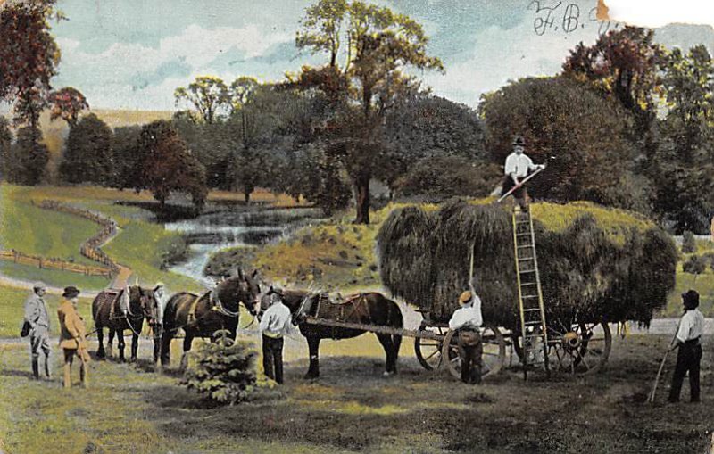 Hay wagon pulled by horse PU Unknown