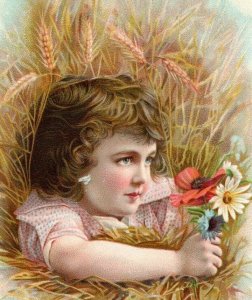 1880's-90's Milwaukee Harvester Co. Adorable Child In Field Of Wheat 7L