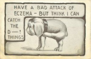 Dog Has A Bad Case of Eczema (Fleas)1910  Postcard