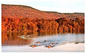 Massachusetts  East Northfield  Northfield Mt. Hermon School , Sculling on river