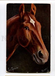 3076552 Hungarian Thoroughbred HORSE Jucker by THOMAS old TUCK