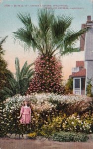 California Hollywood Scene In Paul De Longpre's Garden 1911