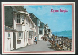 Dorset Postcard - Georgian Cottages, Lyme Regis      T4676