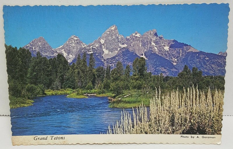 Grand Teton National Park Wyoming Vintage Postcard 