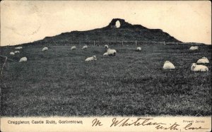 Garlieston Garliestown Scotland Cruggleton Castle Sheep c1905 Vintage Postcard