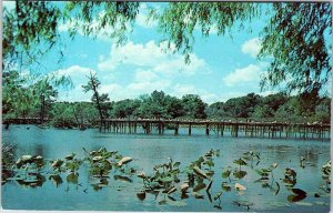 Postcard PIER SCENE Avery Island Louisiana LA AL5918