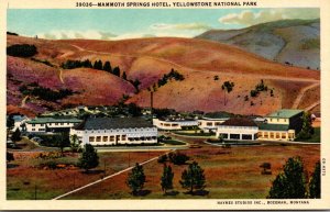 Yellowstone National Park Mammoth Springs Hotel Curteich