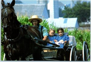 Postcard - Amish Country