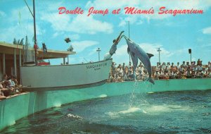 Vintage Postcard Double Jump Miami's Seaquarium Attractions Miami Florida FL