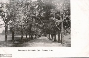 Vintage Postcard NJ Trenton Entrance to Cadwalader Park Dirt Road UDB ~1905 S111