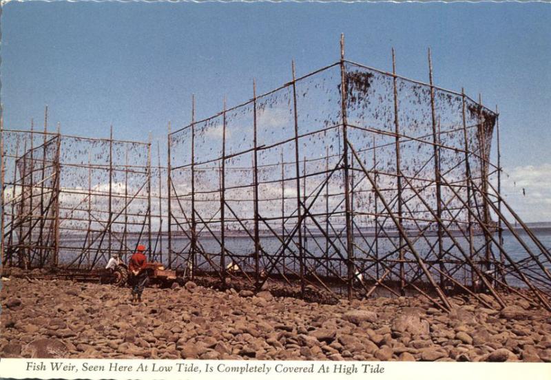 Fish Weir at Low Tide - Bay Of Fundy NS, Nova Scotia, Canada