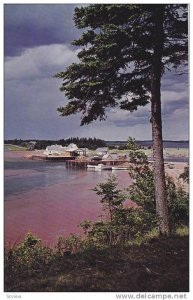 Fisherman's Wharf , FORTUNE BAY , P.E.I. , Canada , 40-60s