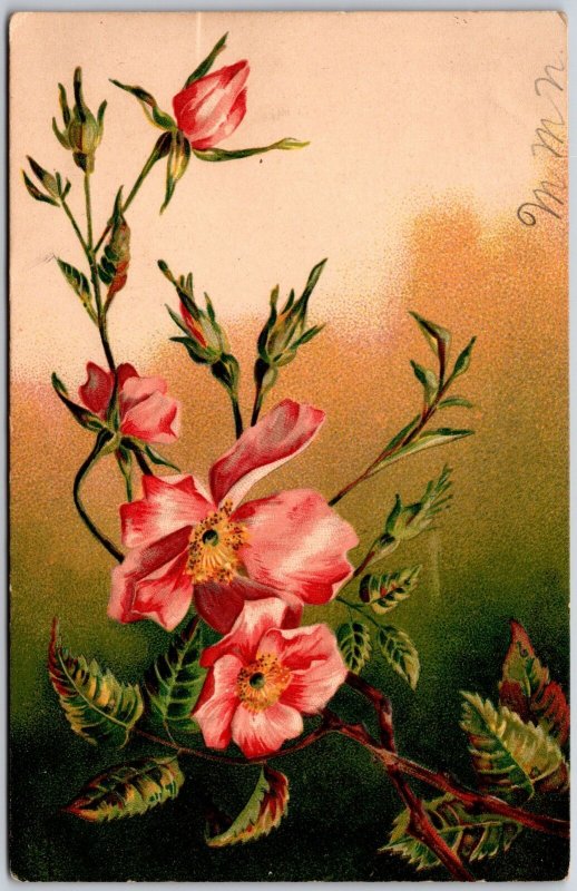 1908 Flower Large Print Greetings & Wishes Card Posted Postcard