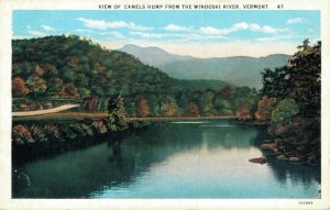 USA Vermont View of Camels Hump from the Winooski River Vintage Postcard 03.18