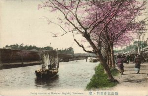 PC YOKOHAMA CHERRY BLOSSOMING HORIWARI NEGISHI JAPAN hand colored (a22052) 