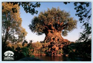 DISNEY' S ANIMAL KINGDOM, Florida FL~ TREE OF LIFE Amusement Park 4x6 Postcard