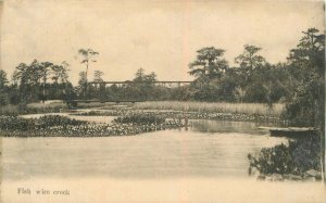 Florida Jacksonville Wire Creek C-1910 undivided Postcard 22-2841