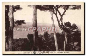 Postcard Old Antibes M Chaine des Alpes view through the pines