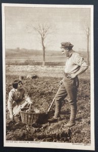 Mint Canada Real Picture Postcard Are They Only discussing Potatoes