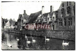 Postcard Old Pier Bruhes Green House Swans pelican