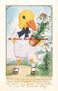 Easter, Whitney No WNY04-2, Dressed Duck, Master Ducky Gray with Flowers