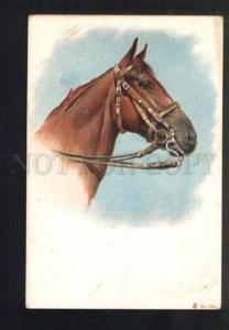 047318 Head of Bred HORSE vintage color Litho