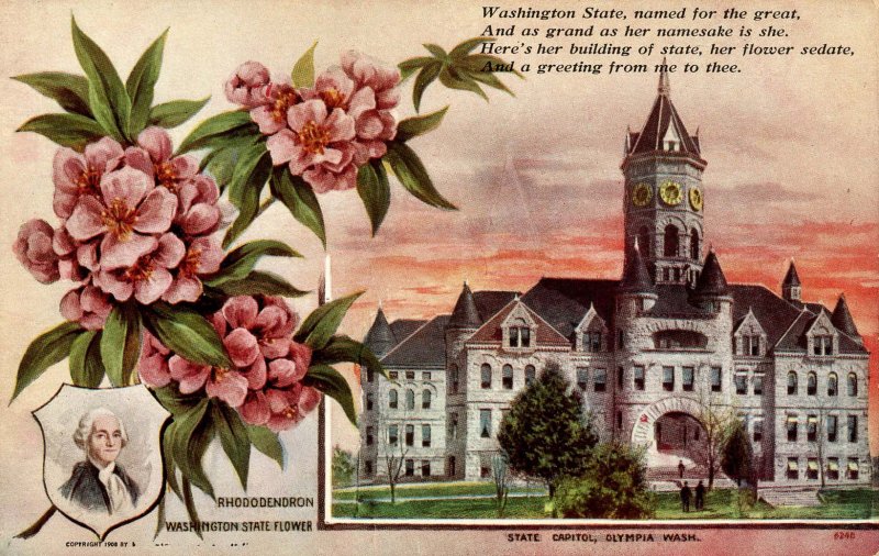 WA - State Flower & Capitol. Rhododendron & Olympia