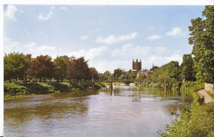 Herefordshire Postcard - The River Wye and Cathedral    XX496
