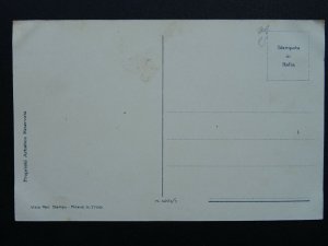 Fruit Berries & Nuts Study APPLES Artist Mario Somasca c1910 Postcard 4251/1