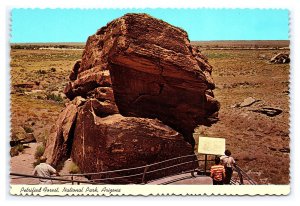 Petrified Forest Nat'l Park AZ Postcard Continental View Card Newspaper Rock