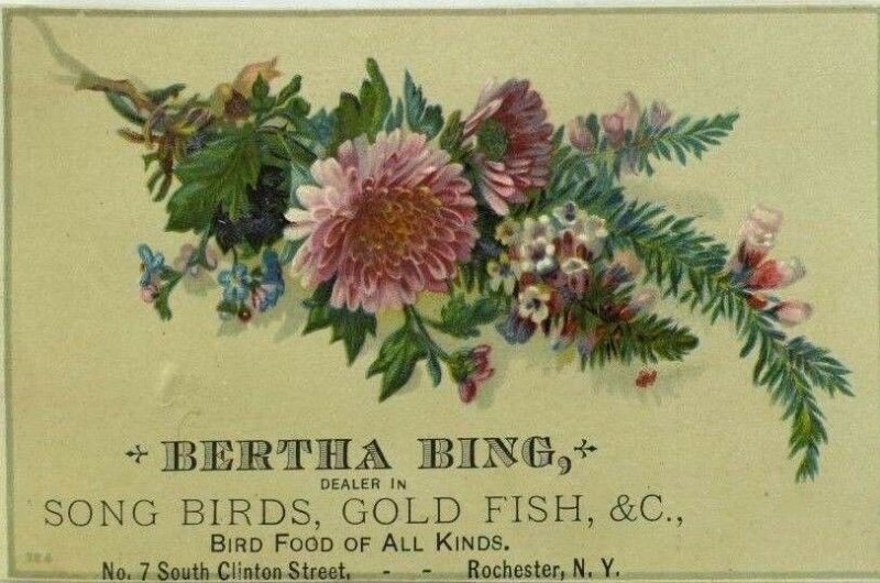 Bertha Ring Song Birds Gold Fish & C. Beautiful Floral Flowers Image P98