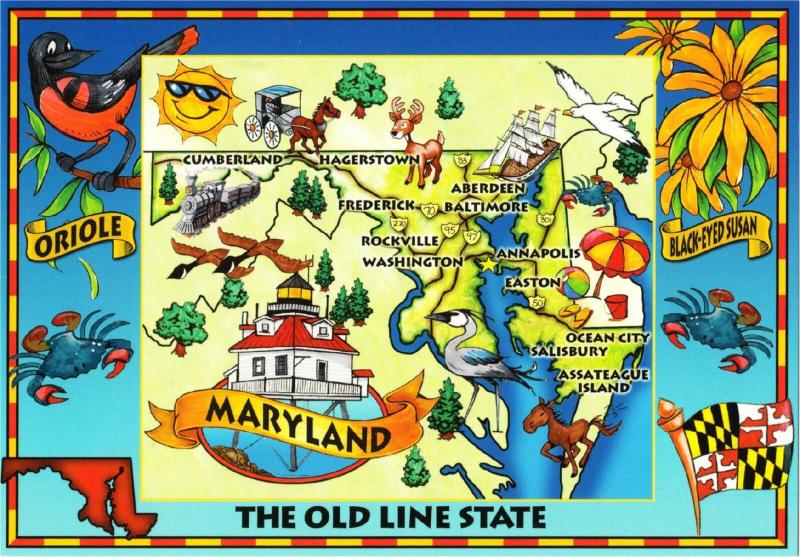 Postcard of Maryland State and Highway Map with Flag Flower Oriole Crabs