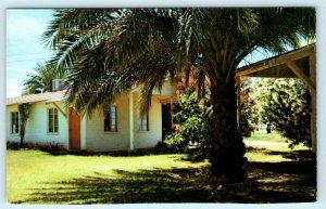 DATELAND, Arizona AZ ~Roadside Highway 80 Oasis YUMA COUNTY c1950s   Postcard 